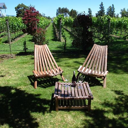 Villa In The Vines マーティンボロ エクステリア 写真