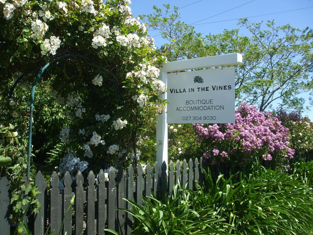 Villa In The Vines マーティンボロ エクステリア 写真