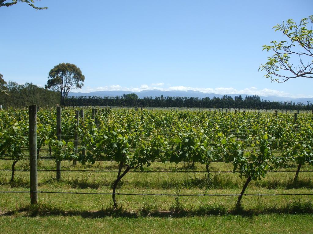 Villa In The Vines マーティンボロ エクステリア 写真